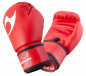 Preview: Ju-Sports Boxhandschuhe Training