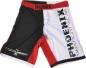 Preview: PHOENIX MMA Shorts schwarz-weiß-rot, Stretch