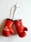 Preview: Daedo Mini Boxing Gloves DE1654 - rot