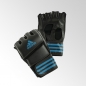 Preview: Adidas Grappling Training Glove