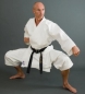 Preview: PhoenixKarate Gi BUDO'S FINEST DIAMOND Kata