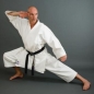 Preview: PhoenixKarate Gi BUDO'S FINEST DIAMOND Kata