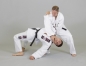 Preview: Phoenix BJJ-MMA Anzug BUDO's FINEST