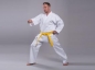 Preview: Phoenix Karate Allrounder -Gi 10oz weiss TAKACHI