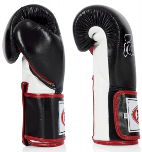 FAIRTEX BGV5 BOXHANDSCHUHE S-W-R