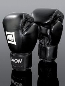 KWON Boxhandschuhe Sparring Champ