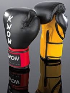 KWON Kickboxhandschuhe KO Champ