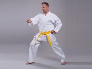 Phoenix Karate Allrounder -Gi 10oz weiss TAKACHI