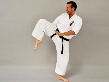 Phoenix Kyokushinkai Gi mit Brustbestickung