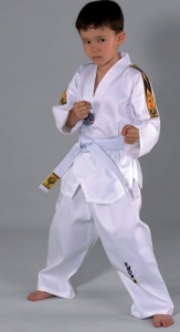KWON ClubLine Taekwondo Anzug Tiger