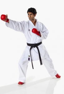 TOKAIDO Karategi KUMITE MASTER