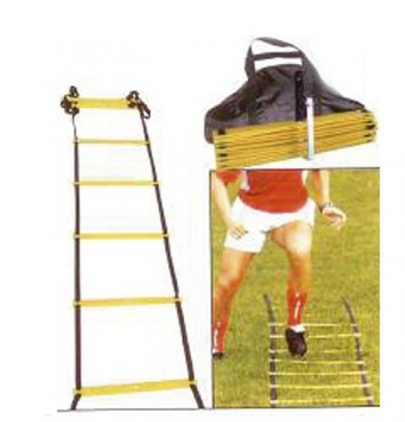 Speed-Leiter 650 cm 6344