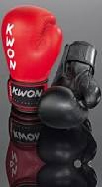 KWON Boxhandschuh Ergo Champ