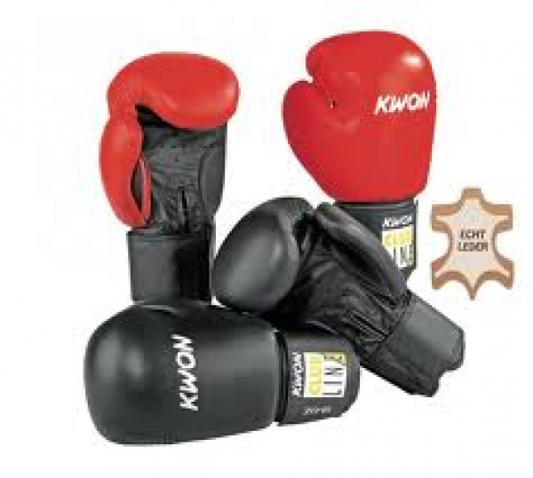 KWON Boxhandschuhe POINTER Echtleder