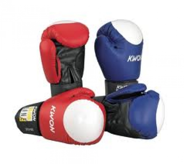 KWON Boxhandschuhe POINTER - mehrfarbig